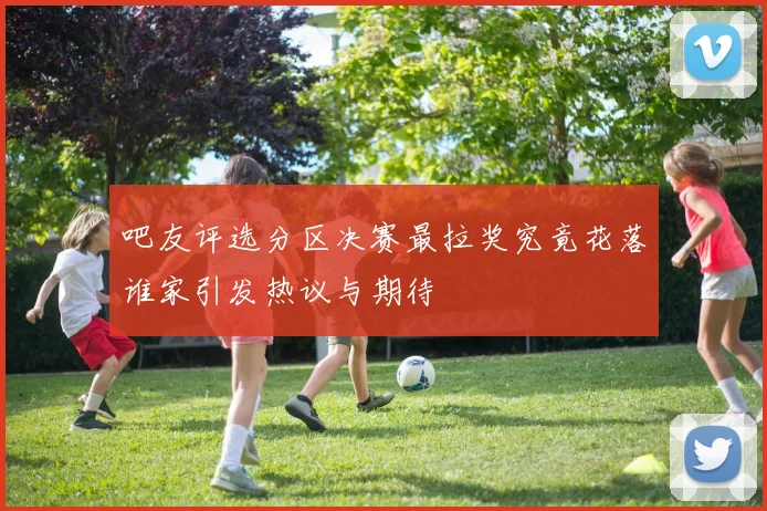 吧友评选分区决赛最拉奖究竟花落谁家引发热议与期待