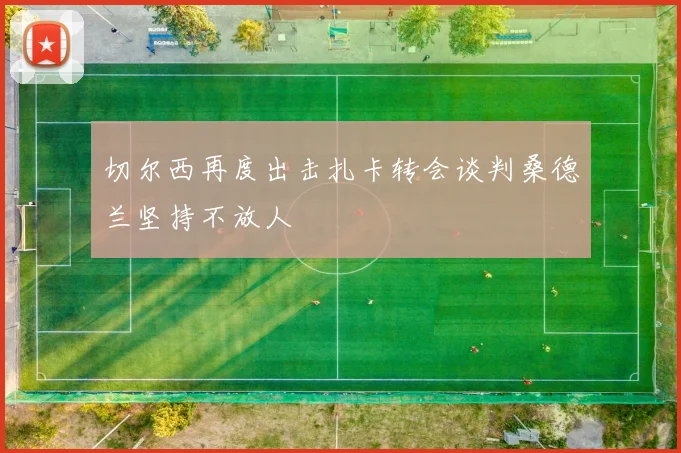 切尔西再度出击扎卡转会谈判桑德兰坚持不放人