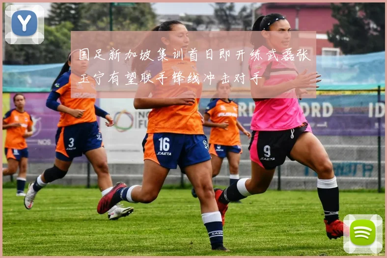 国足新加坡集训首日即开练武磊张玉宁有望联手锋线冲击对手